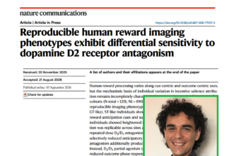 Schizofrenia, studio UniBa: dalla risonanza magnetica nuovi indizi per personalizzare le terapie farmacologiche